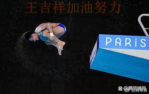 中国游泳队大胜收官稳固排名 主帅用人思路受到讨论