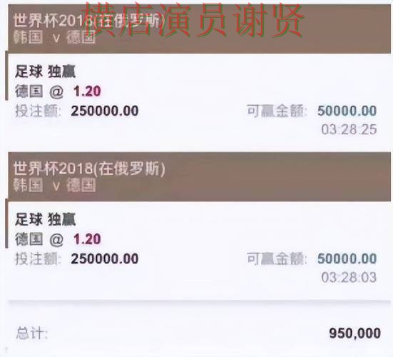 V体育世界杯投注网站大全与平台对比评测 V体育世界杯投注网站大全与平台对比评测