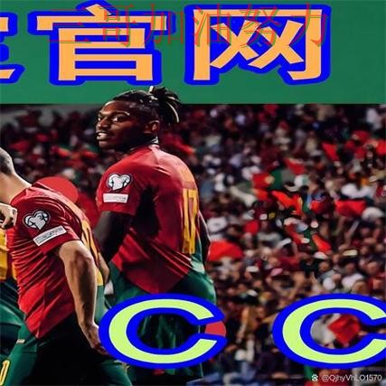 世界杯买球网站是否安全？真实体验带你了解（世界杯赛事中心）